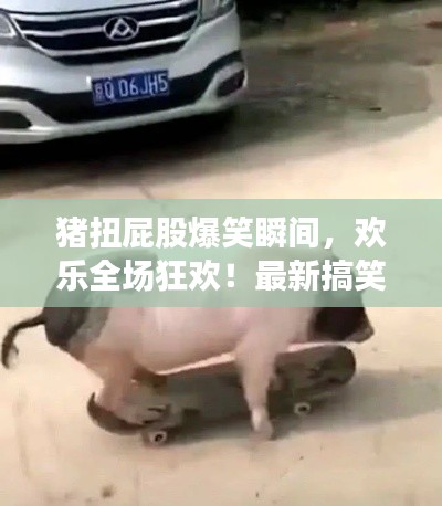 猪扭屁股爆笑瞬间,欢乐全场狂欢!最新搞笑视频来袭!