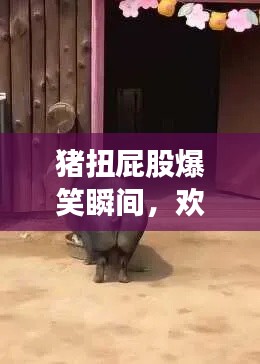 猪扭屁股爆笑瞬间,欢乐全场狂欢!最新搞笑视频来袭!