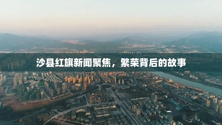 轻飞曼舞 第4页