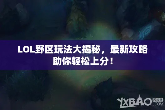 LOL野区玩法大揭秘,最新攻略助你轻松上分!