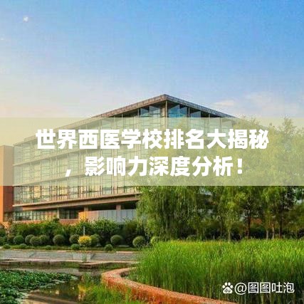 世界西医学校排名大揭秘,影响力深度分析!