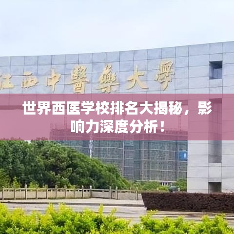 世界西医学校排名大揭秘,影响力深度分析!