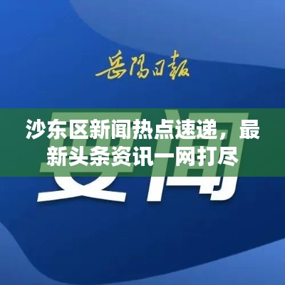沙东区新闻热点速递,最新头条资讯一网打尽