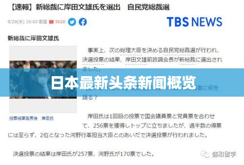 张灯结彩 第3页