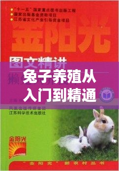 兔子养殖从入门到精通,全方位指南助你成为专家