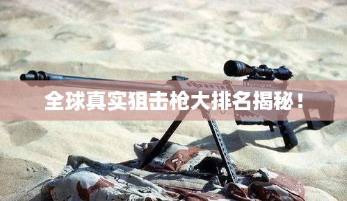 林下风气 第3页