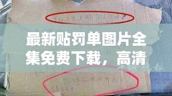 最新贴罚单图片全集免费下载,高清大图一网打尽!