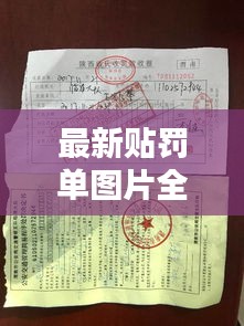 最新贴罚单图片全集免费下载,高清大图一网打尽!