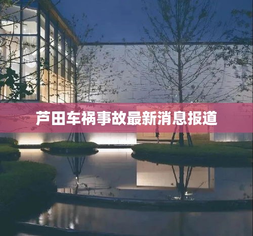 芦田车祸事故最新消息报道