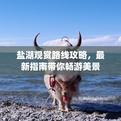 盐湖观赏路线攻略,最新指南带你畅游美景