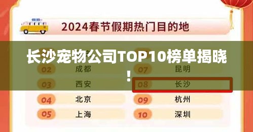 长沙宠物公司TOP10榜单揭晓!