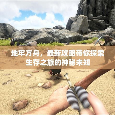 地牢方舟,最新攻略带你探索生存之旅的神秘未知