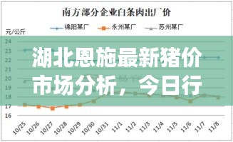 湖北恩施最新猪价市场分析,今日行情走势揭秘