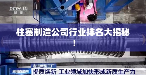 柱塞制造公司行业排名大揭秘!