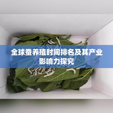 全球蚕养殖时间排名及其产业影响力探究