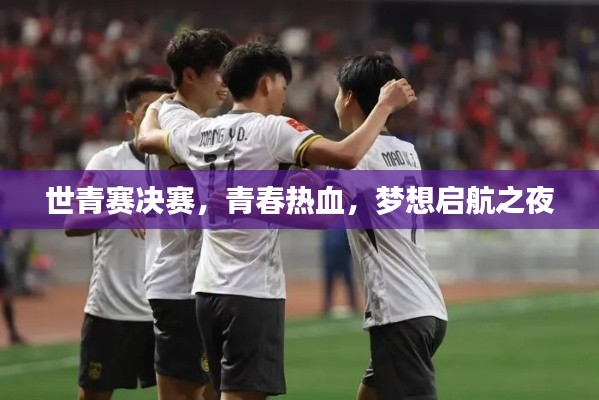 世青赛决赛,青春热血,梦想启航之夜