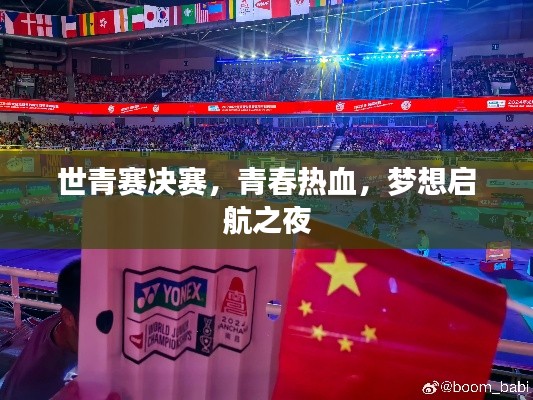 世青赛决赛,青春热血,梦想启航之夜