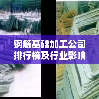 质而不俚 第3页