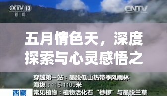 五月情色天,深度探索与心灵感悟之旅