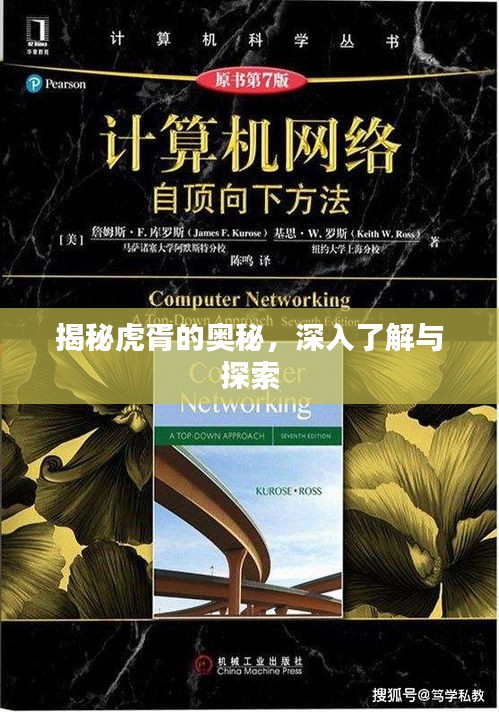 揭秘虎胥的奥秘,深入了解与探索