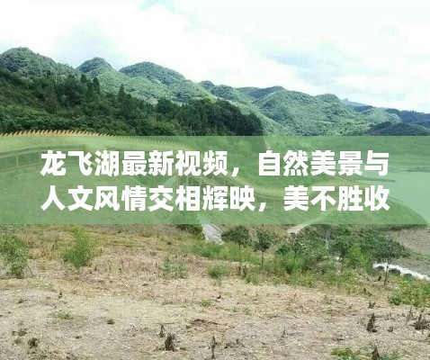 龙飞湖最新视频,自然美景与人文风情交相辉映,美不胜收!