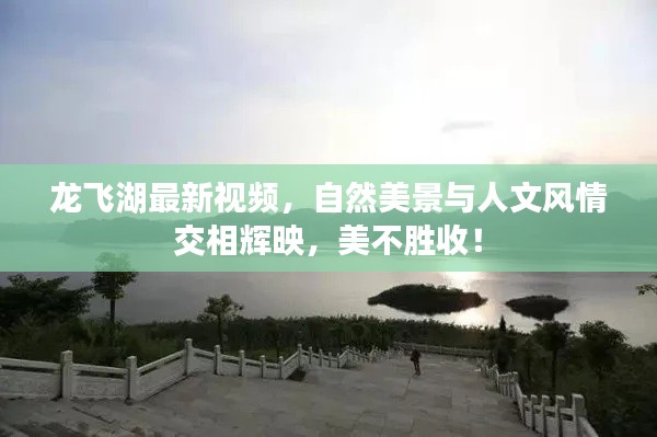 龙飞湖最新视频,自然美景与人文风情交相辉映,美不胜收!