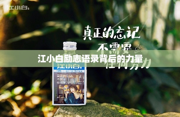 江小白励志语录背后的力量