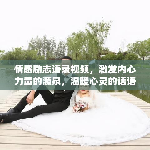 情感励志语录视频,激发内心力量的源泉,温暖心灵的话语