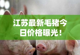 鸟面鹄形 第3页