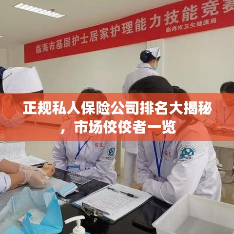 正规私人保险公司排名大揭秘,市场佼佼者一览