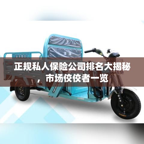 正规私人保险公司排名大揭秘,市场佼佼者一览