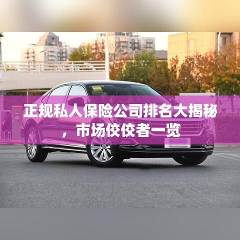 正规私人保险公司排名大揭秘,市场佼佼者一览
