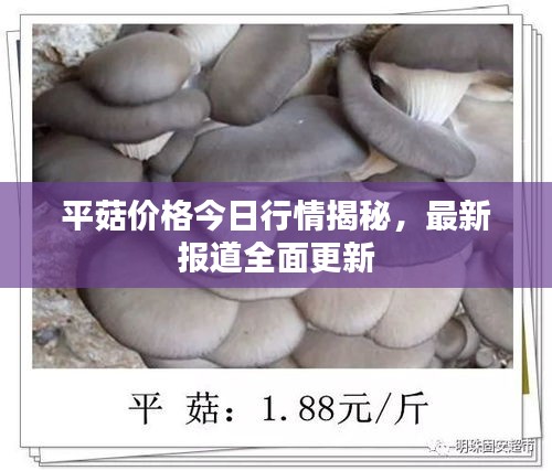 蹑蹻檐簦 第3页