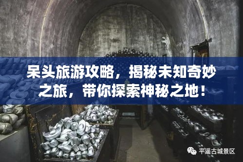 呆头旅游攻略,揭秘未知奇妙之旅,带你探索神秘之地!