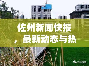 佐州新闻快报,最新动态与热点聚焦