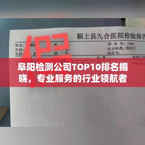 草率从事 第3页