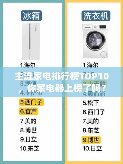 虚张声势 第3页