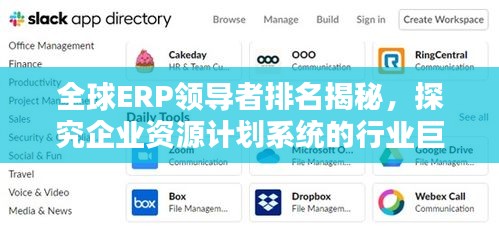 全球ERP领导者排名揭秘,探究企业资源计划系统的行业巨头
