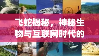 飞蛇揭秘,神秘生物与互联网时代的探索之旅,百度带你探寻未知世界!